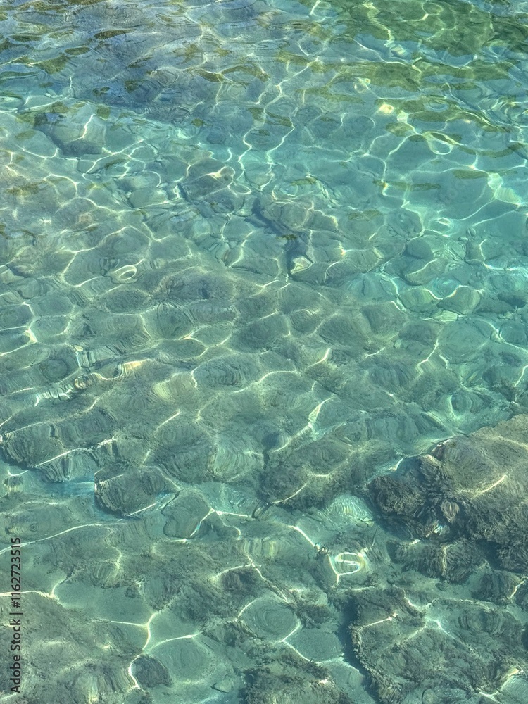 Transparent sea water with stones and algae at the bottom Transparent sea water with stones and algae at the bottom
