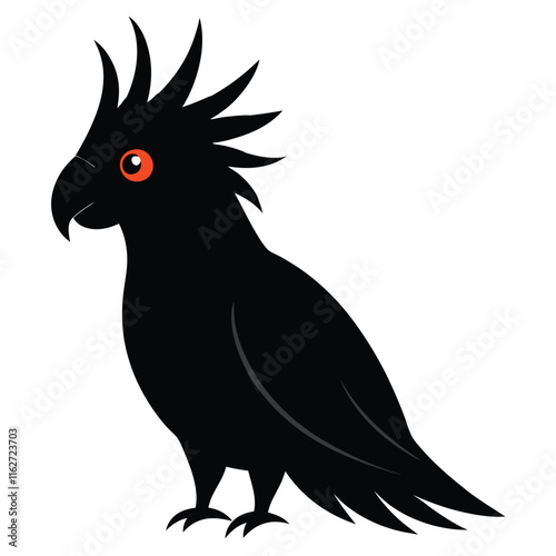 glossy black cockatoo