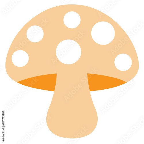 mushroom  photo