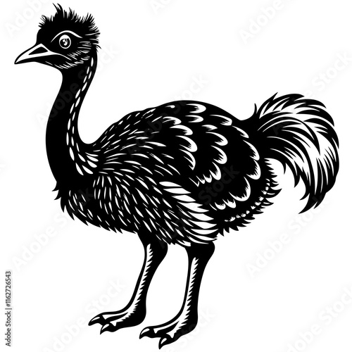 illustration of an ostrich