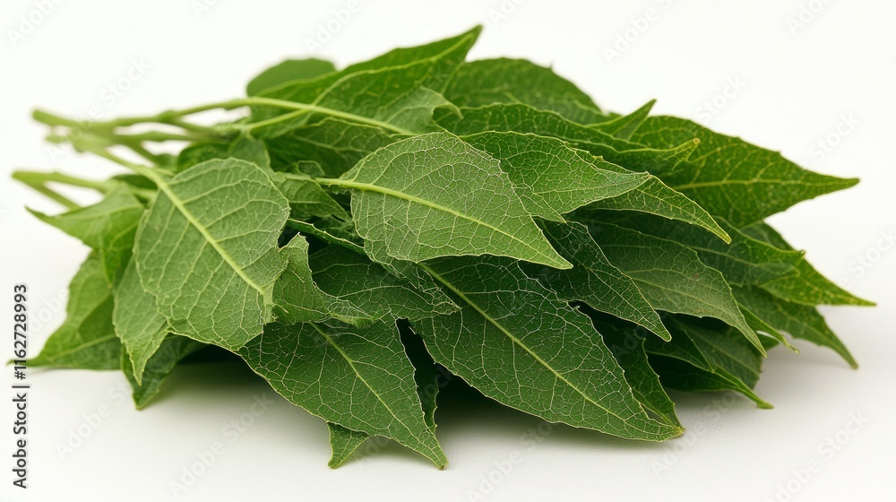 Obraz premium Fresh green leaves pile isolated on white background.