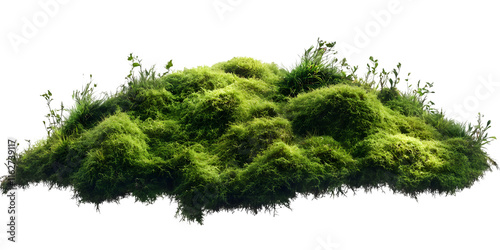 Lush Green Mossy Terrain with Vibrant Grass Accents, Natural Organic Background