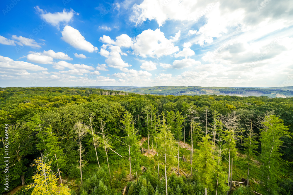 Naklejka premium View from the observation tower at Möhnesee of the surrounding green landscape. Nature at Möhnesee.