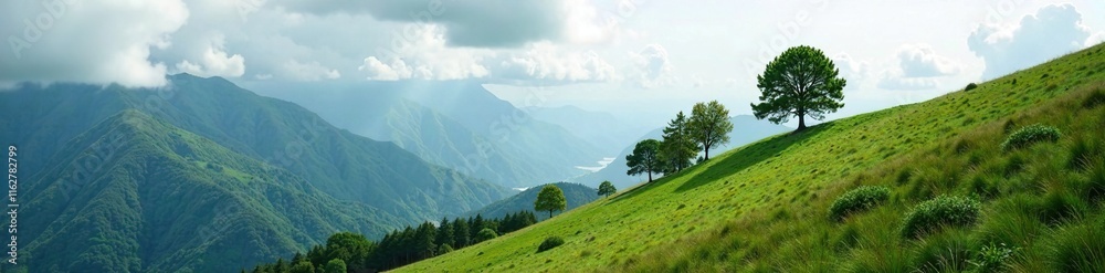 Tree-covered mountain slope under a cloudy sky, , slopes Tree-covered mountain slope under a cloudy sky, , slopes