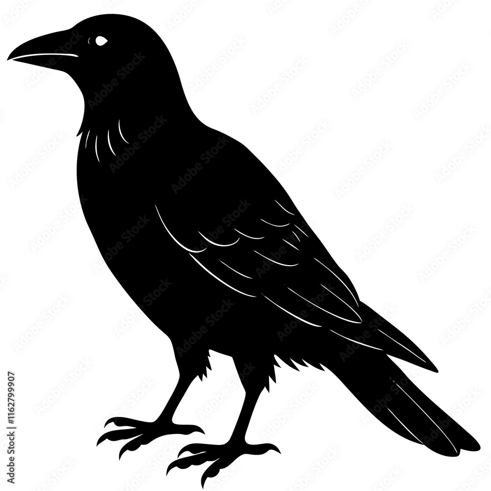 Fototapeta premium Crow Silhouette vector silhouette