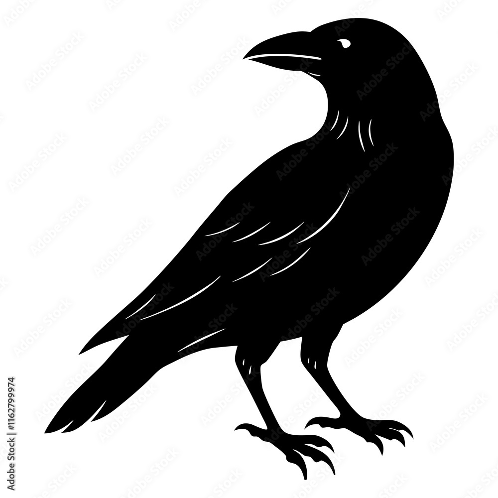 Obraz premium Crow Silhouette vector silhouette