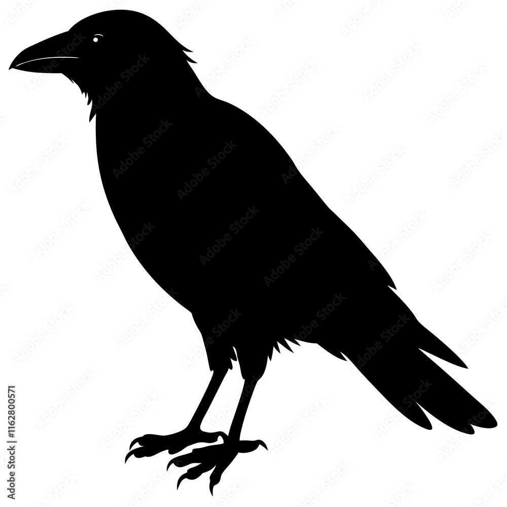 Fototapeta premium Crow Silhouette vector silhouette