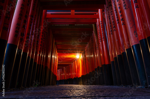 Torii in Giappone