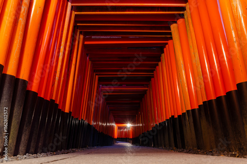 Torii in Giappone