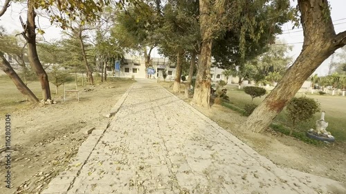 person walking in the park photo