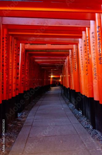 Torii in Giappone