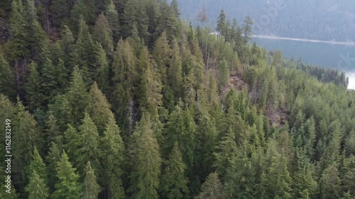 Wallpaper Mural Soaring above tranquil lake and verdant forests beneath a soft blanket of clouds Torontodigital.ca