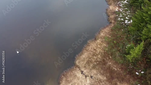 Wallpaper Mural Discovering the beauty of a quiet lake and misty mountains from above Torontodigital.ca
