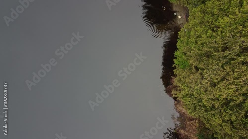 Wallpaper Mural Top down view of peaceful waters and lush greenery under soft gray skies Torontodigital.ca