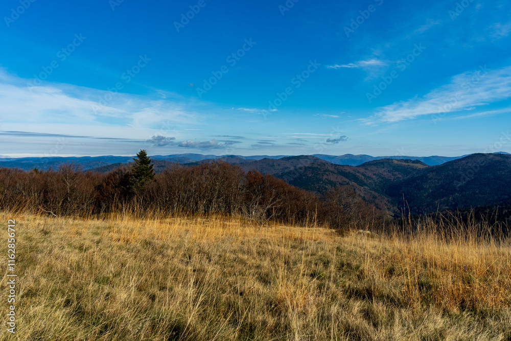 Beau paysage automnal à Sewen, au Ballon d'Alsace. Beau paysage automnal à Sewen, au Ballon d'Alsace.