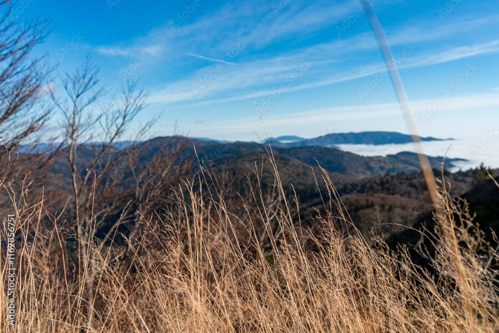 Fototapeta premium Beau paysage automnal à Sewen, au Ballon d'Alsace.