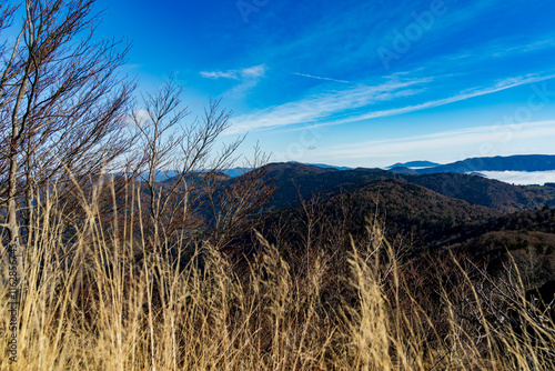 Beau paysage automnal à Sewen, au Ballon d'Alsace. photo