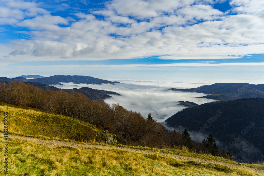 Obraz premium Beau paysage avec les nuages dormant sur la montagne - Ballon d'Alsace.