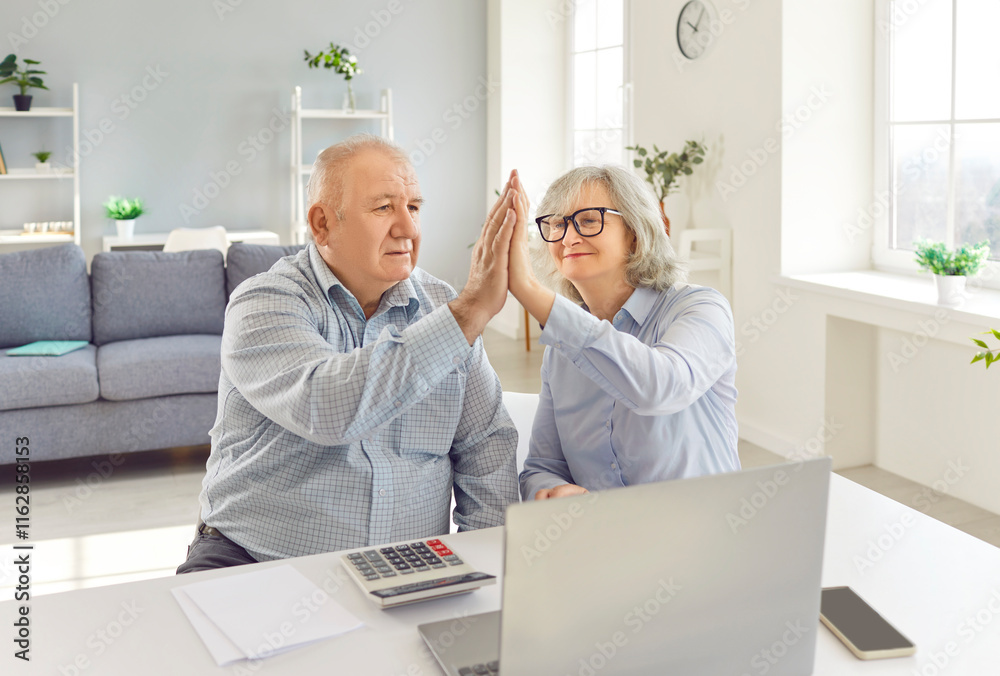 Senior happy couple calculating successful banking, payment online at laptop screen, feeling joy with money pay result. Old people, active elderly pair family at home accounting, achieving good budget Senior happy couple calculating successful banking, payment online at laptop screen, feeling joy with money pay result. Old people, active elderly pair family at home accounting, achieving good budget
