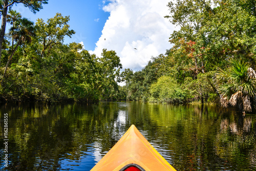 Beautiful day kayaking down econlockhatchee river in Little Big Econ State Park in Seminole County just north of Orlando, Florida. 