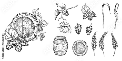 Set of beer ingredients: hops plant and wheat ear black white vector graphic illustration isolated. Cone hops and humulus vine, beer barrel monochrome drawing for packaging, label, craft brewery