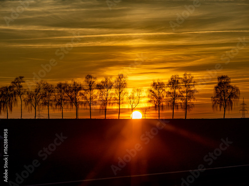 Sonnenuntergang hinter Bäumen