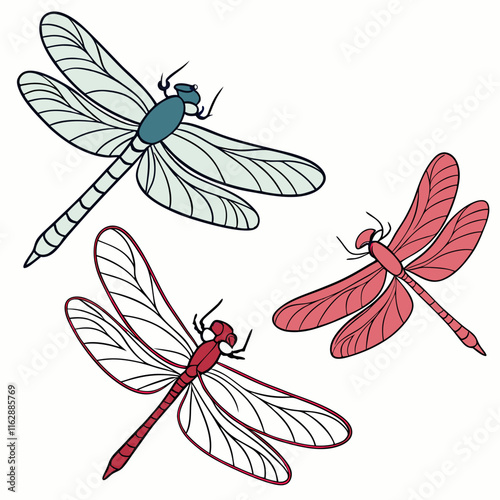 set of dragonfly