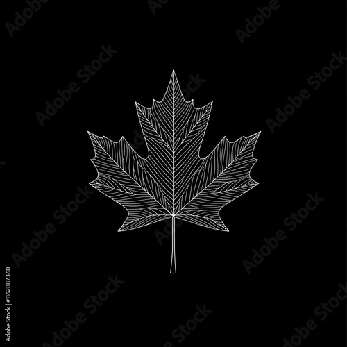 Intricate Line Art Of A Single Maple Leaf