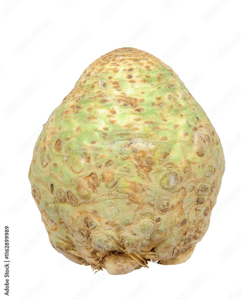 Isolated celery root