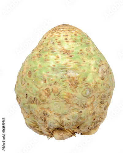 Obraz na płótnie Isolated celery root w salonie
