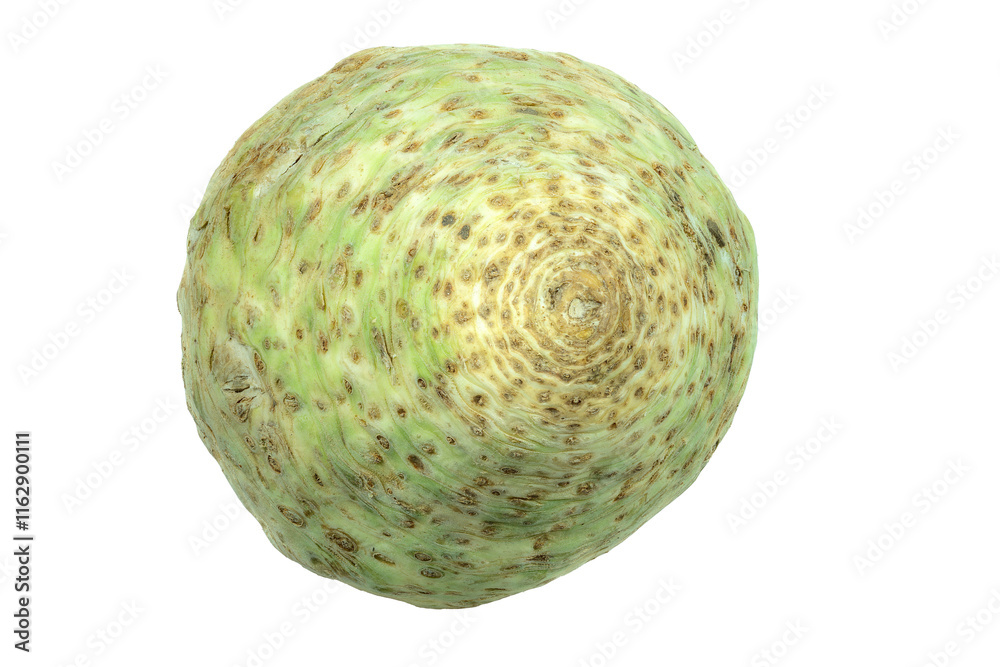 Isolated celery root