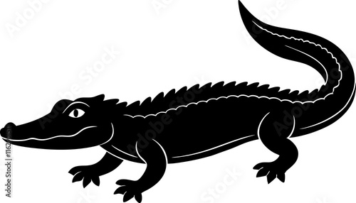 alligator