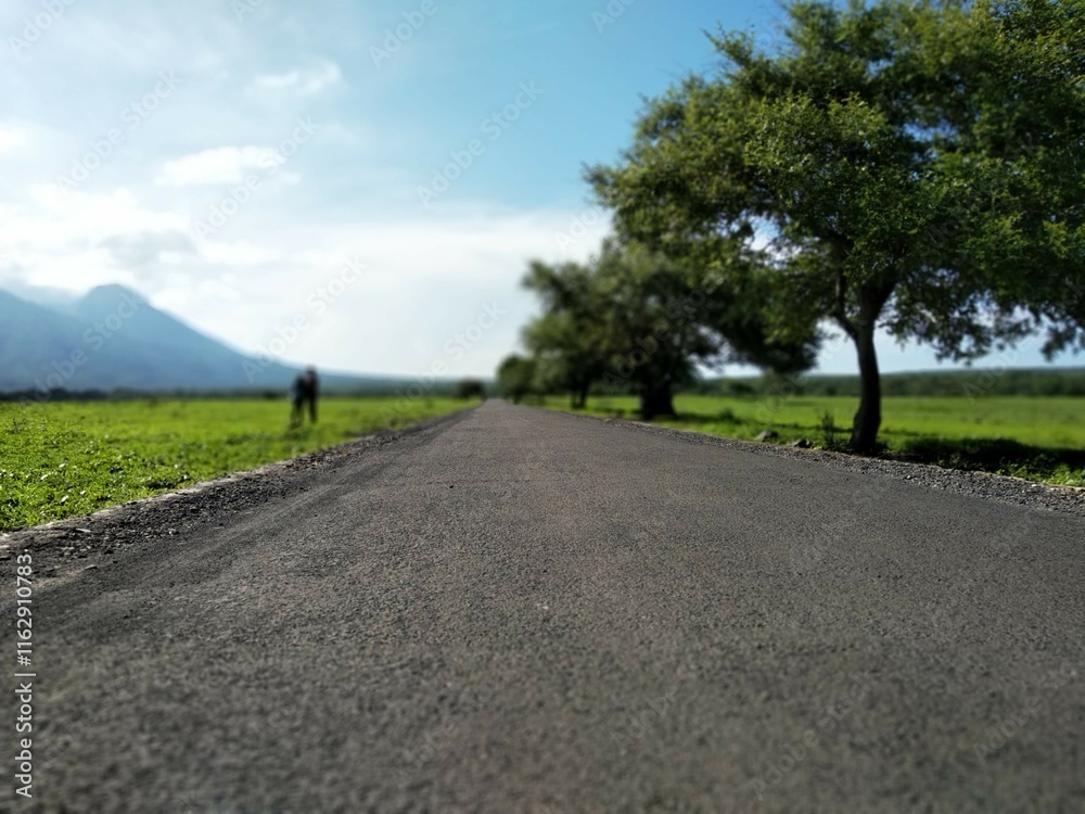 road in the summer road in the summer