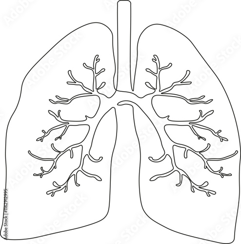 Continuous Lungs Outline Human Internal Organ, Lungs line icon design for medical app, logo, website. Vector illustration. Pneumonia