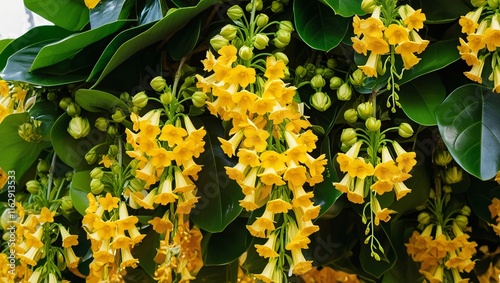 yellow flowers in the garden , AI Generated.