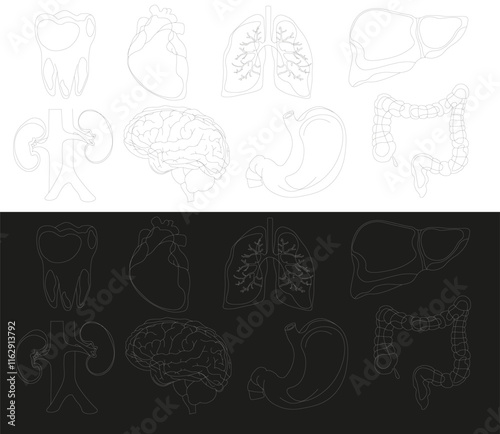 Set of vector icons related to human organs, pixel accurate, with the ability to edit stroke and scale on black and white background.