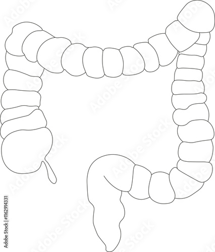 One line healthcare concept. Healthcare vector linear illustration. Intestine anatomy symbol silhouette. Isolated on white background. gastroenterology