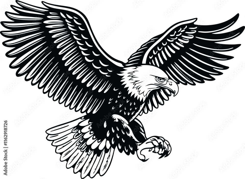Fototapeta premium Majestic Bald Eagle Soaring Wings Black and White Illustration