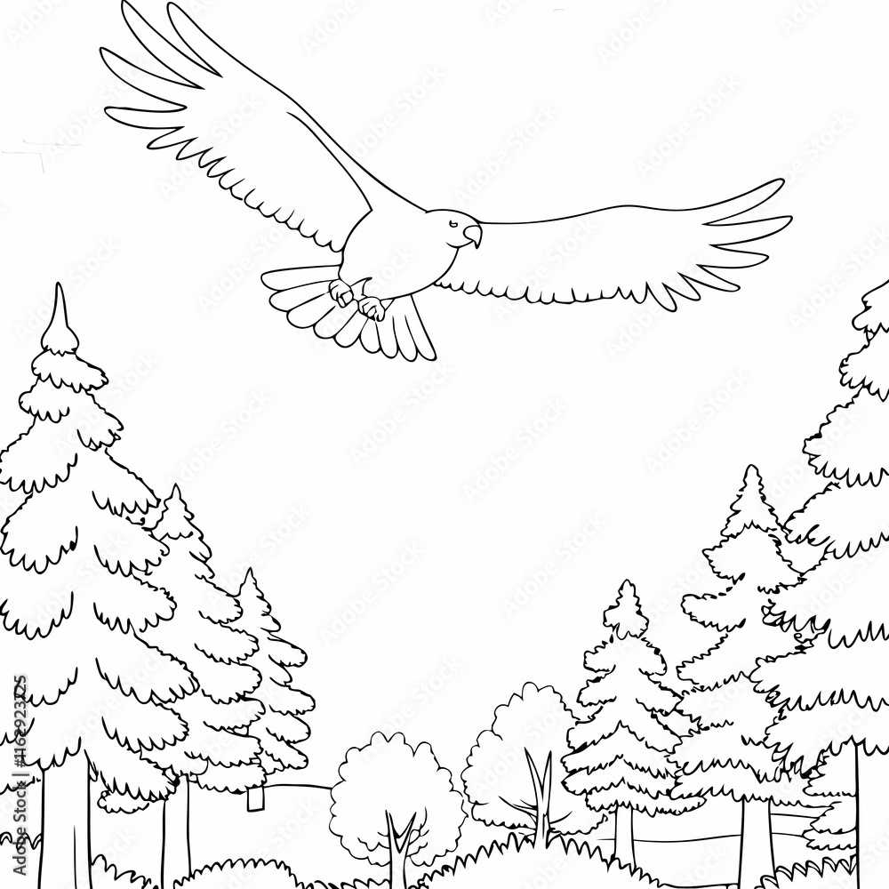 Obraz premium eagle flying on forest coloring book vector