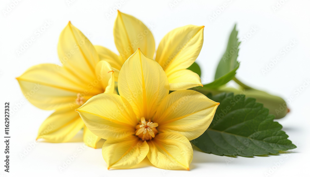 Obraz premium Stunning Yellow Flowers Bouquet
