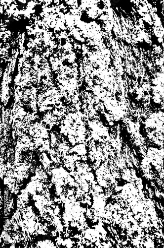 Texture of tree bark with fungus