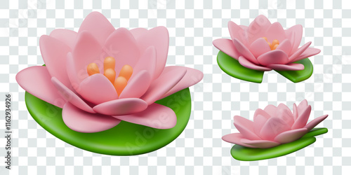 Pink lotus flower with green leaves. Realistic water lily in different positions