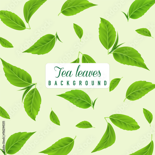 Green tea leaves pattern background. Herbal leaf pattern