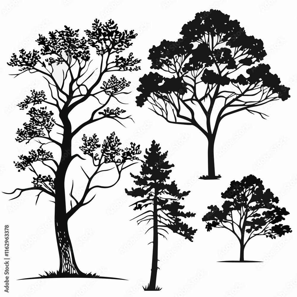 Obraz premium set of trees