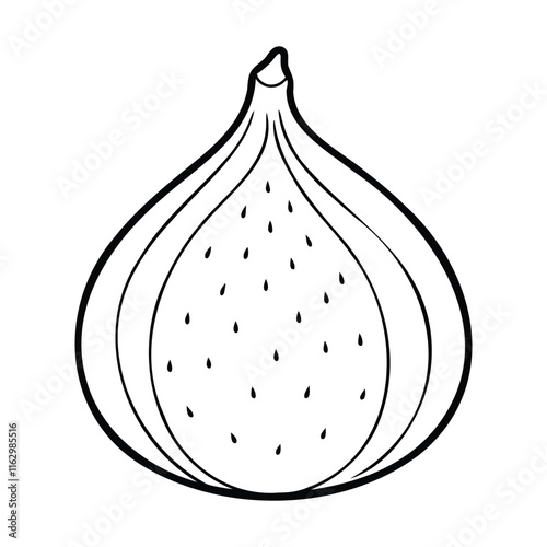 Black and white illustration of a fig fruit cross-section with seeds, featuring a clean and minimalistic line art style