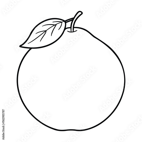 Simple black and white line art of a guava with a single leaf