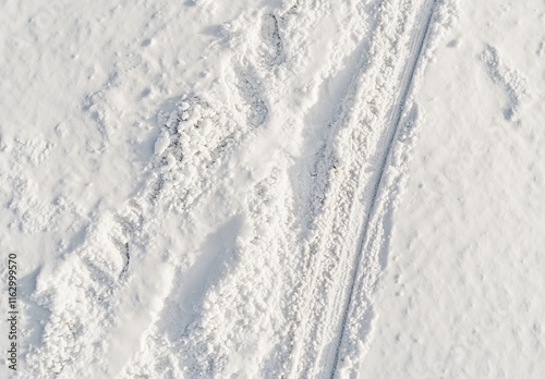 Winter Footprints and Tire Tracks in Fresh Snow