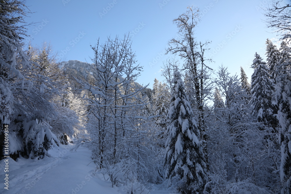 Obraz premium Snowy landscape in Switzerland