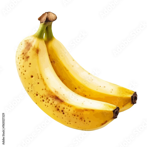 A watercolor vector of a banana, isolated on a white background. Banana vector.
