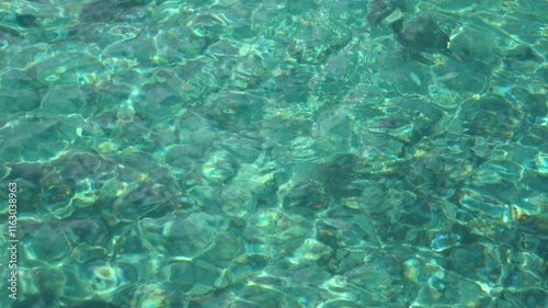 Transparent water in lake in Arrayanes National Park, Argentina photo